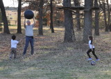 DSC_2043b.JPG