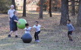 DSC_2047b.JPG