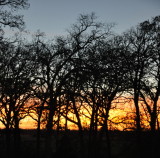 DSC_2146b.JPG