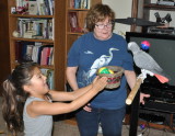 DSC_2164b.JPG
