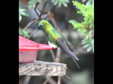 DSC_1945b.JPG