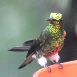 DSC_2362b.jpg