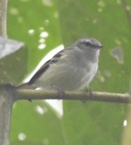 DSC_2908b.jpg
