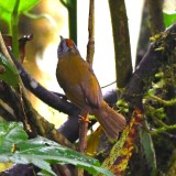 DSC_3048b.jpg
