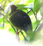 DSC_3092b.jpg