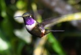 DSC_3452b.jpg