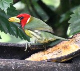DSC_3648b.jpg