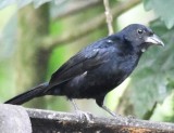 DSC_3669b.jpg