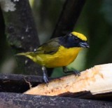DSC_3725b.jpg