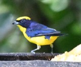 DSC_3752b.jpg