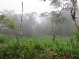 IMG_1021b.jpg