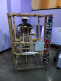 IMG_1137b.jpg