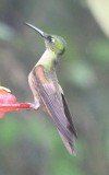 DSC_6402b.jpg