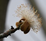 DSC_8355b.jpg
