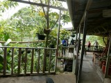 P1000202b.jpg