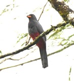 DSC_8983b.jpg