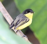 DSC_9588b.jpg