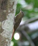 DSC_9980b.jpg