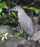 DSC_1026b.jpg