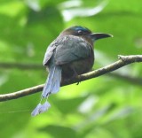 DSC_1168b.jpg