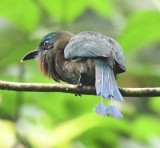 DSC_1180b.jpg