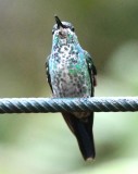 DSC_1657b.jpg
