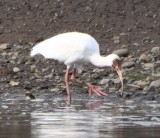 DSC_1844b.jpg