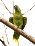 DSC_2228b.jpg