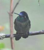 DSC_0634b.jpg