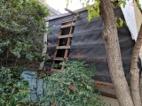 IMG_20181029_091036.jpg