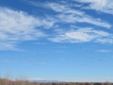 IMG_1726b.jpg