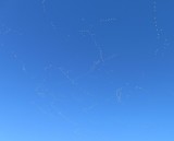 IMG_1756b.jpg
