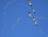 DSC_1709b.jpg