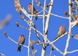 DSC_1836b.jpg