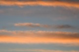 DSC_2145b.jpg