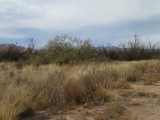 IMG_2095b.jpg