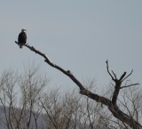 DSC_3167b.jpg