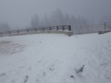 20181201_125624b.jpg
