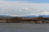 DSC_4860b.jpg