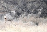DSC_4903b.jpg