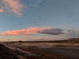 IMG_20181201_064558b.jpg