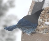 DSC_5866b.jpg