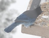 DSC_5868b.jpg