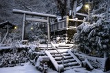 winter_snowfall