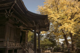 _DSC6243-2k.jpg Goryo Jinja.jpg