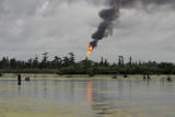 Beauty of the Wetlands and our Need to Preserve It Gallery