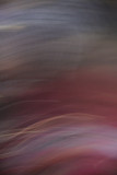 A Toddler's Hair in Motion in the Evening Sunlight