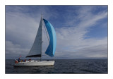 DSC00971_web.jpg