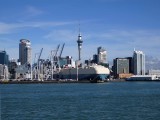 Auckland and Harbour 11