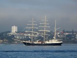TENACIOUS